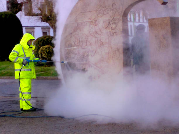 Best Garage Pressure Washing  in Neoga, IL